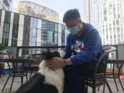 一生負(fù)氣成今日，一騎白馬開(kāi)吳疆——會(huì)計(jì)學(xué)院排球隊(duì)挺進(jìn)決賽