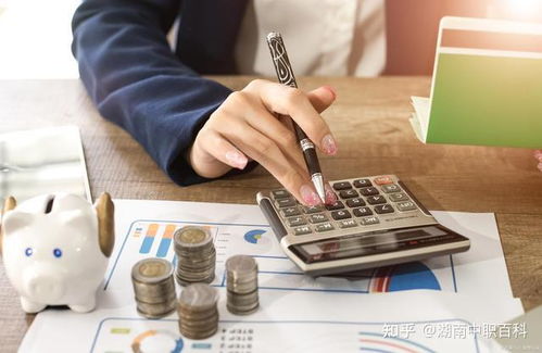 中職會(huì)計(jì)專(zhuān)業(yè)為何備受青睞？解析審計(jì)與稅務(wù)服務(wù)的吸引力