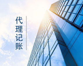 廊坊小公司代理記賬 專業會計服務的明智之選